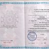 Достижения